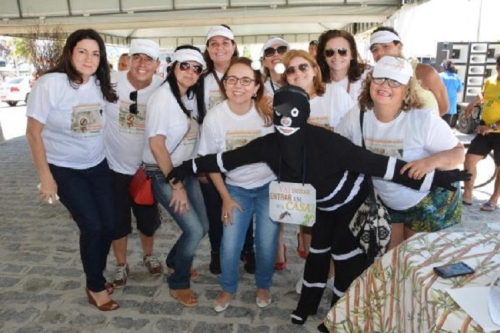 Farmacêuticos de todo o país saem às ruas para oferecer serviços e informação