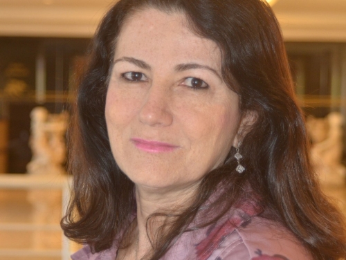 Conselheira Federal avalia ano de 2013