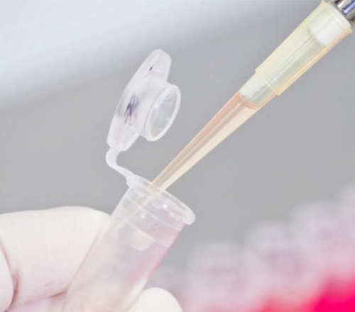 Farmacêutico analista clínico e farmacêutico toxicologista incluídos na TISS