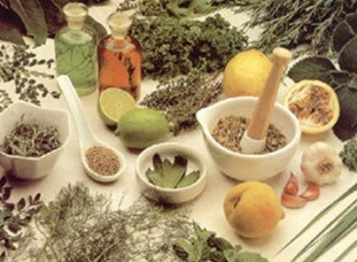 Artigo: O farmacêutico e a revisão das normas sobre fitoterápicos