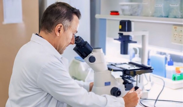 Farmacêutico identifica compostos de animais marinhos e plantas que matam parasita de Chagas