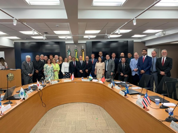 PLENÁRIO DO CFF REELEGE DIRETORIA PARA O BIÊNIO 2020/2021