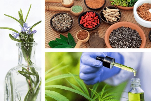 Fitoterapia será o tema do painel online e gratuito da HEALS Educação