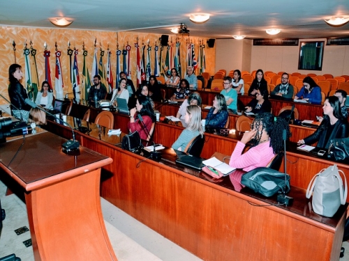 SECRETÁRIA GERAL DO CRF/SE PARTICIPA DE REUNIÃO COM ASSESSORIAS DE COMUNICAÇÃO DO CFF E DOS CRFs
